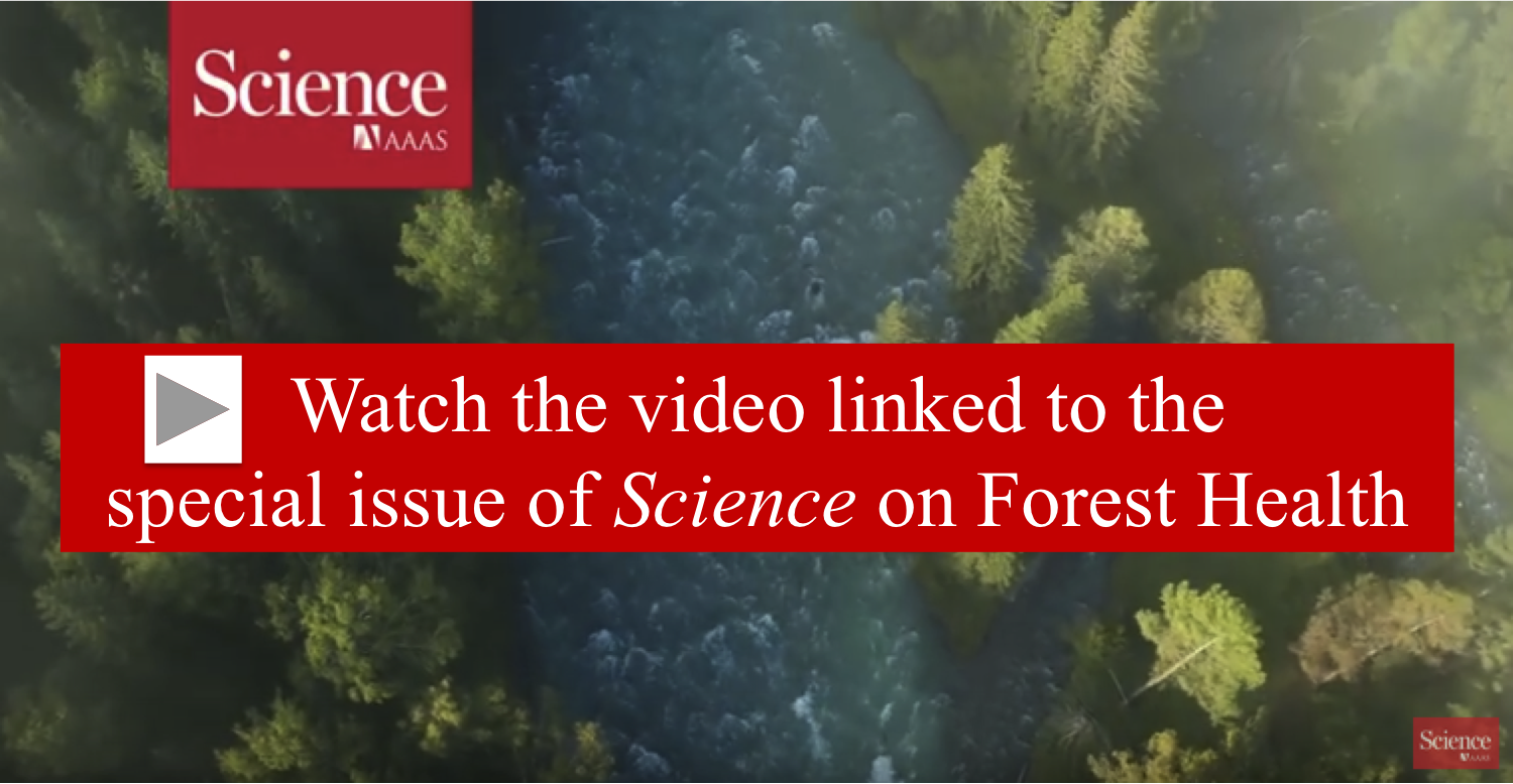 Science Forest Health video