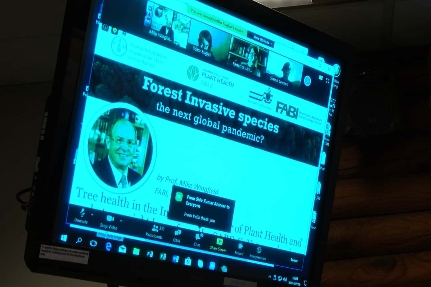 FABIans participate in FAO forest invasive species webinar