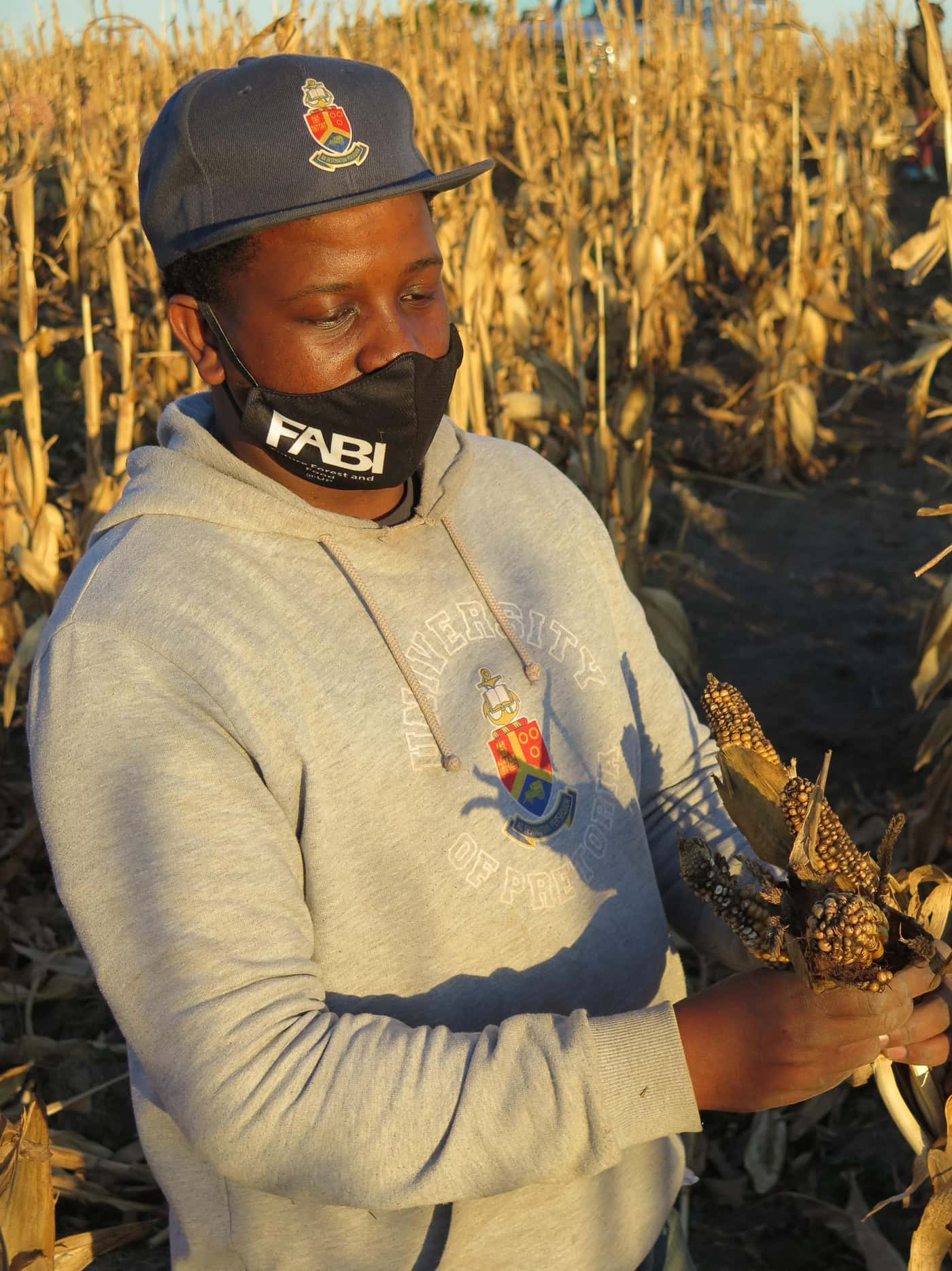 FABI launches its multi-disciplinary Grain Research Programme