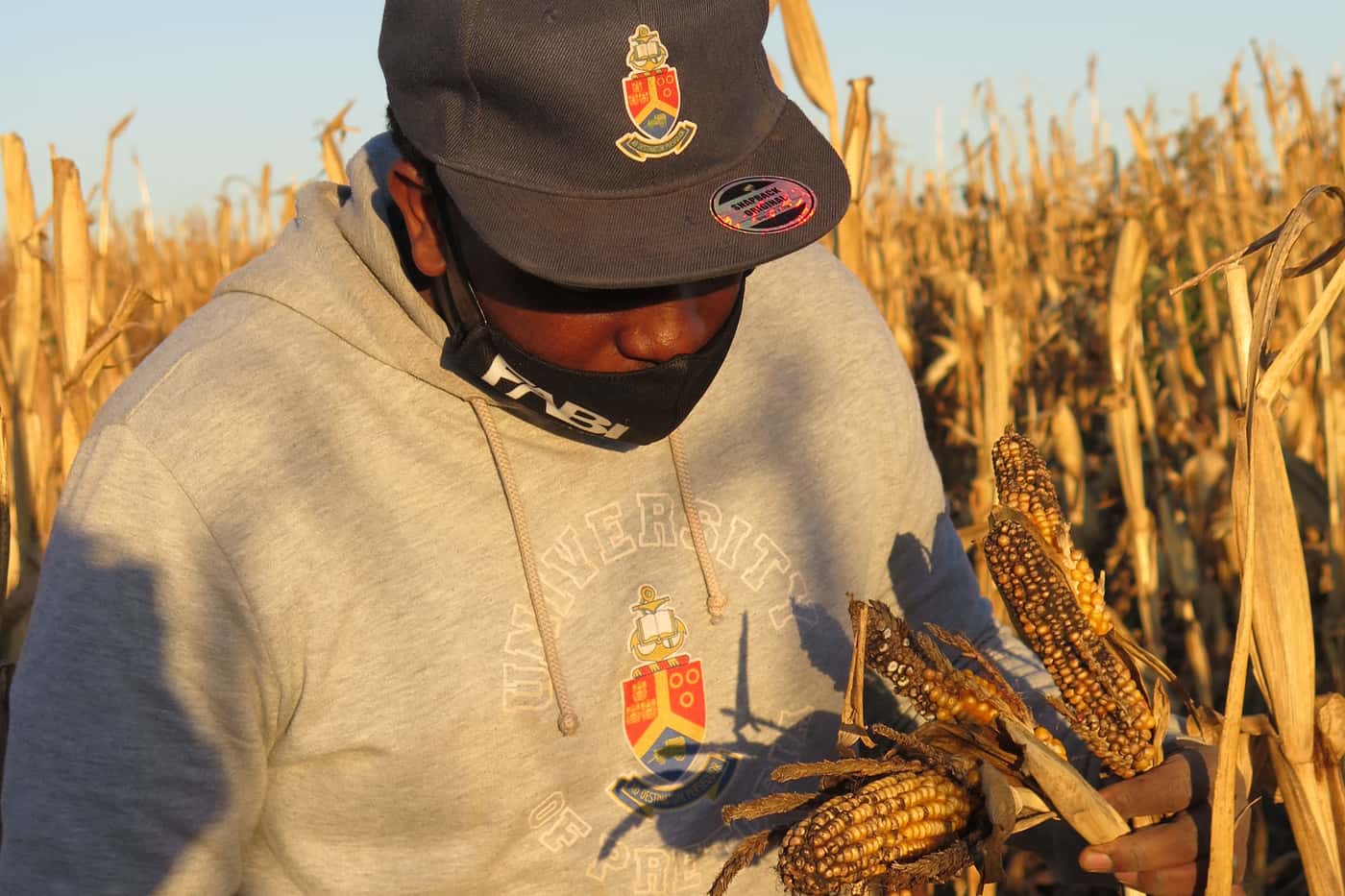 FABI launches its multi-disciplinary Grain Research Programme