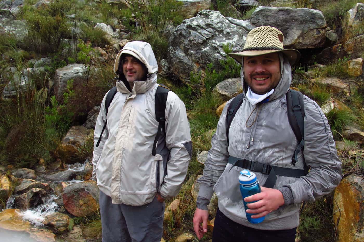 Sampling the iconic and declining cedars in the Cedarberg mountains