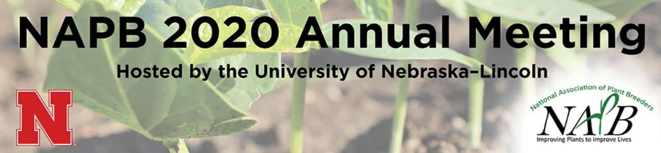Attending the NAPB 2020 virtual meeting
