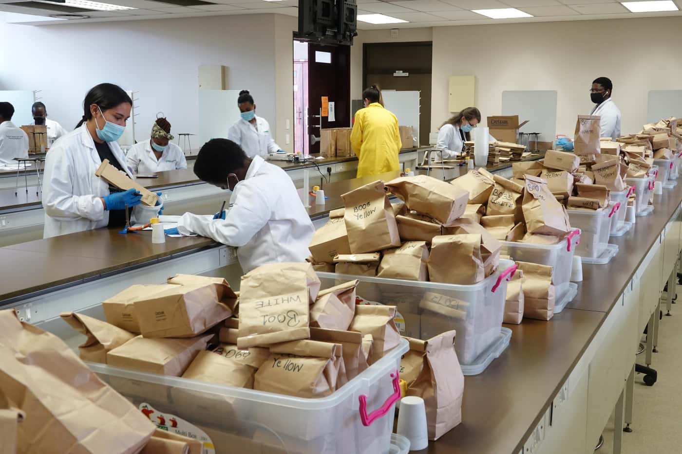 National Maize Cultivar Evaluation Trials seed packing at FABI