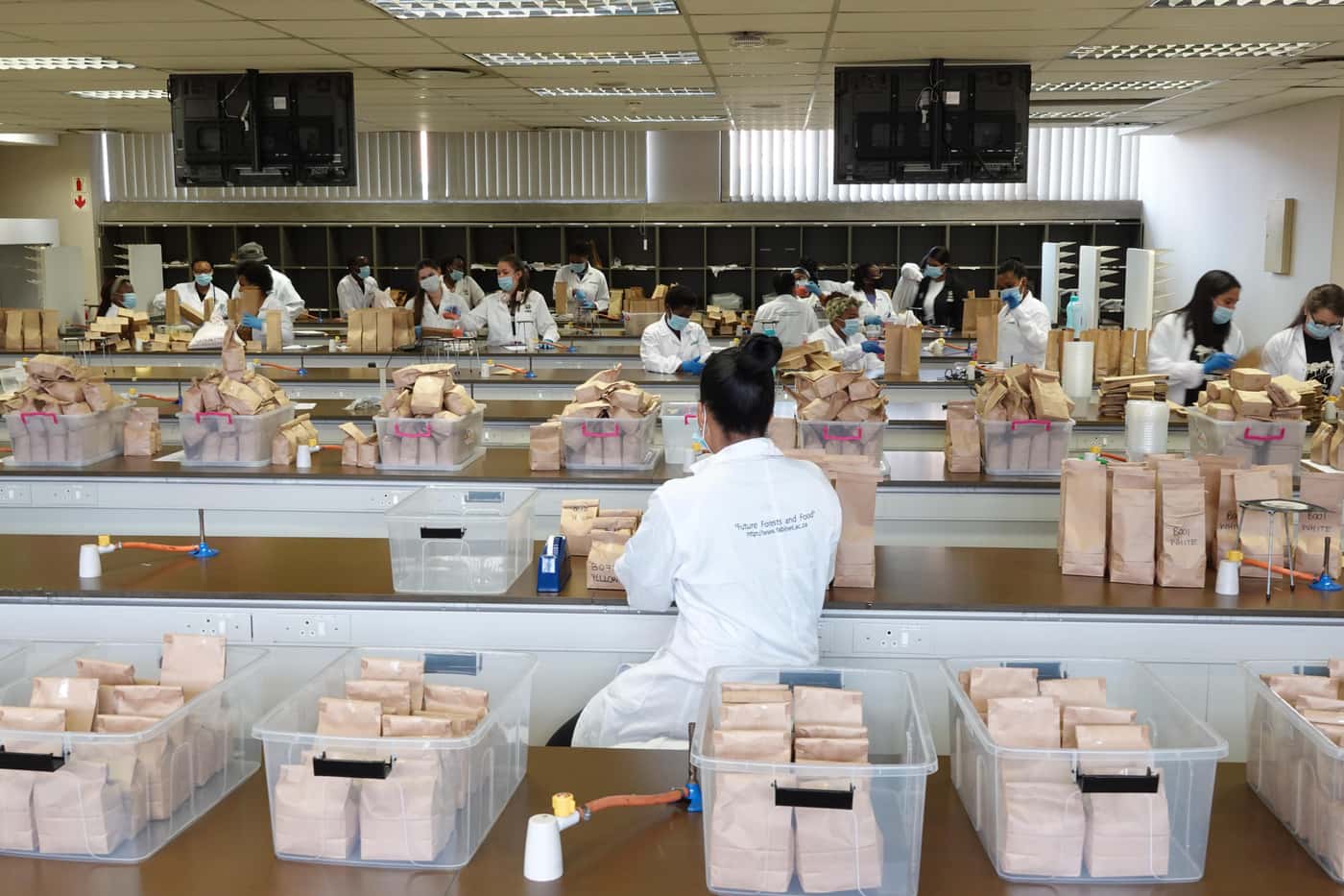 National Maize Cultivar Evaluation Trials seed packing at FABI