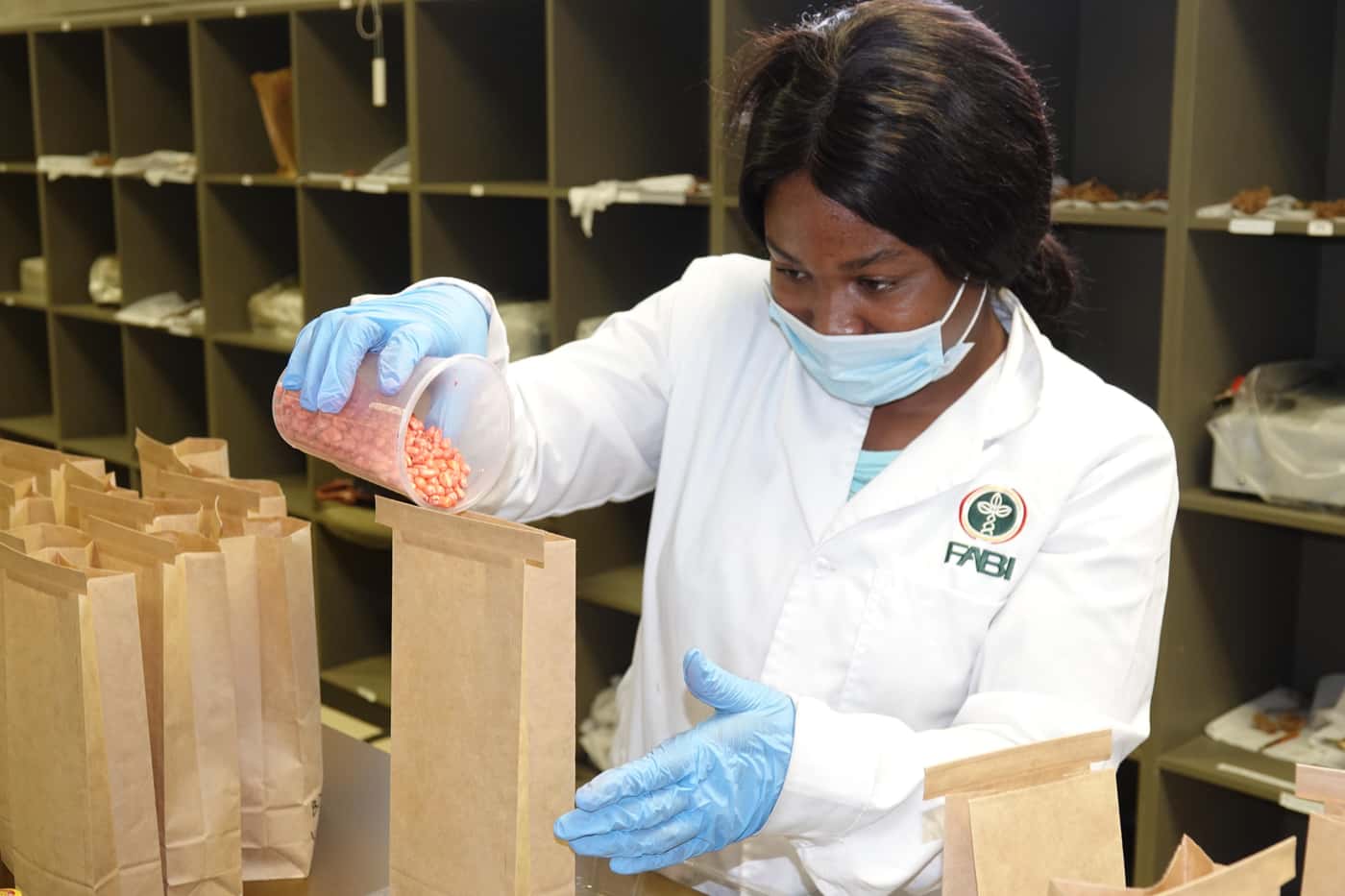 National Maize Cultivar Evaluation Trials seed packing at FABI