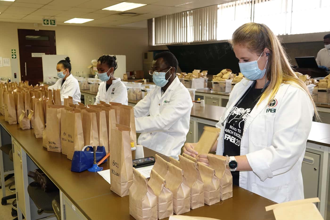 National Maize Cultivar Evaluation Trials seed packing at FABI