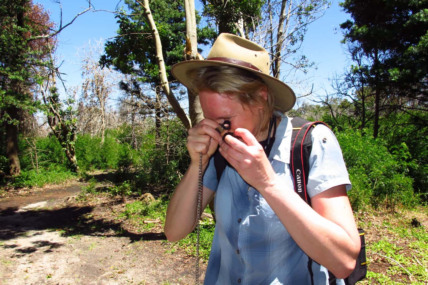 Inspection of invasive disease and pest problems in SANBI's Cape gardens