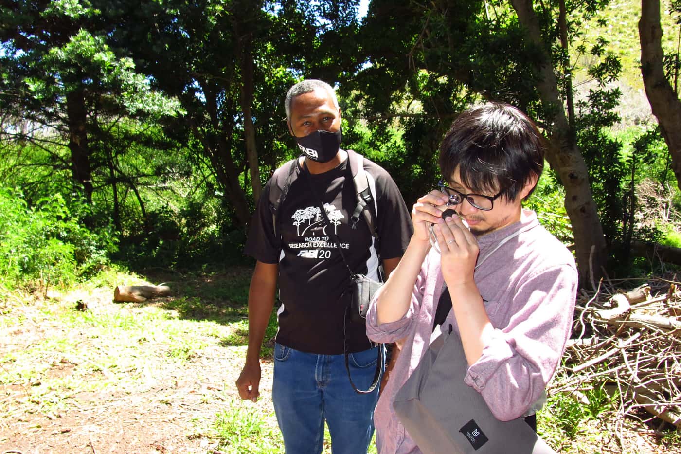Inspection of invasive disease and pest problems in SANBI's Cape gardens