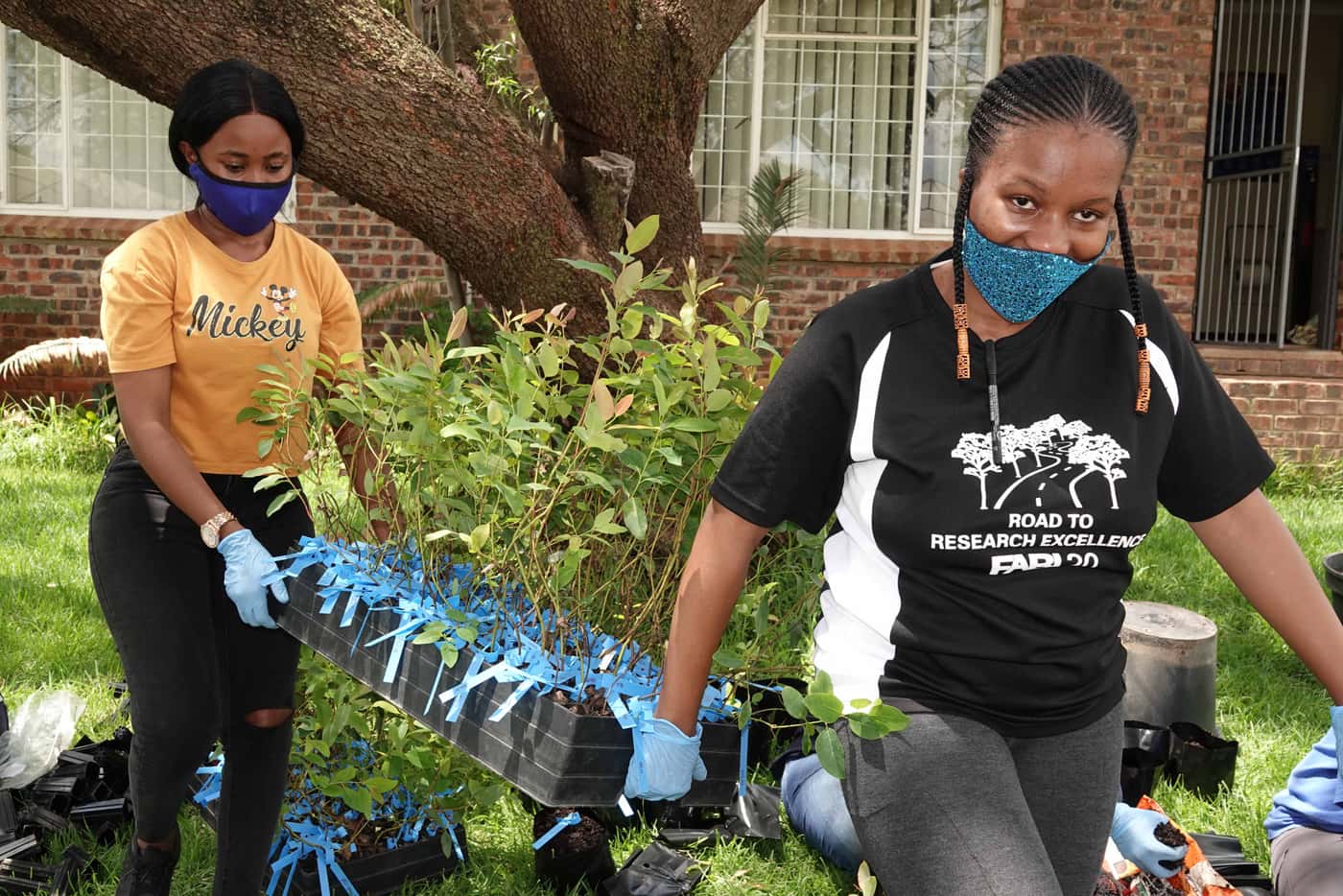 Last tree planting event for 2020