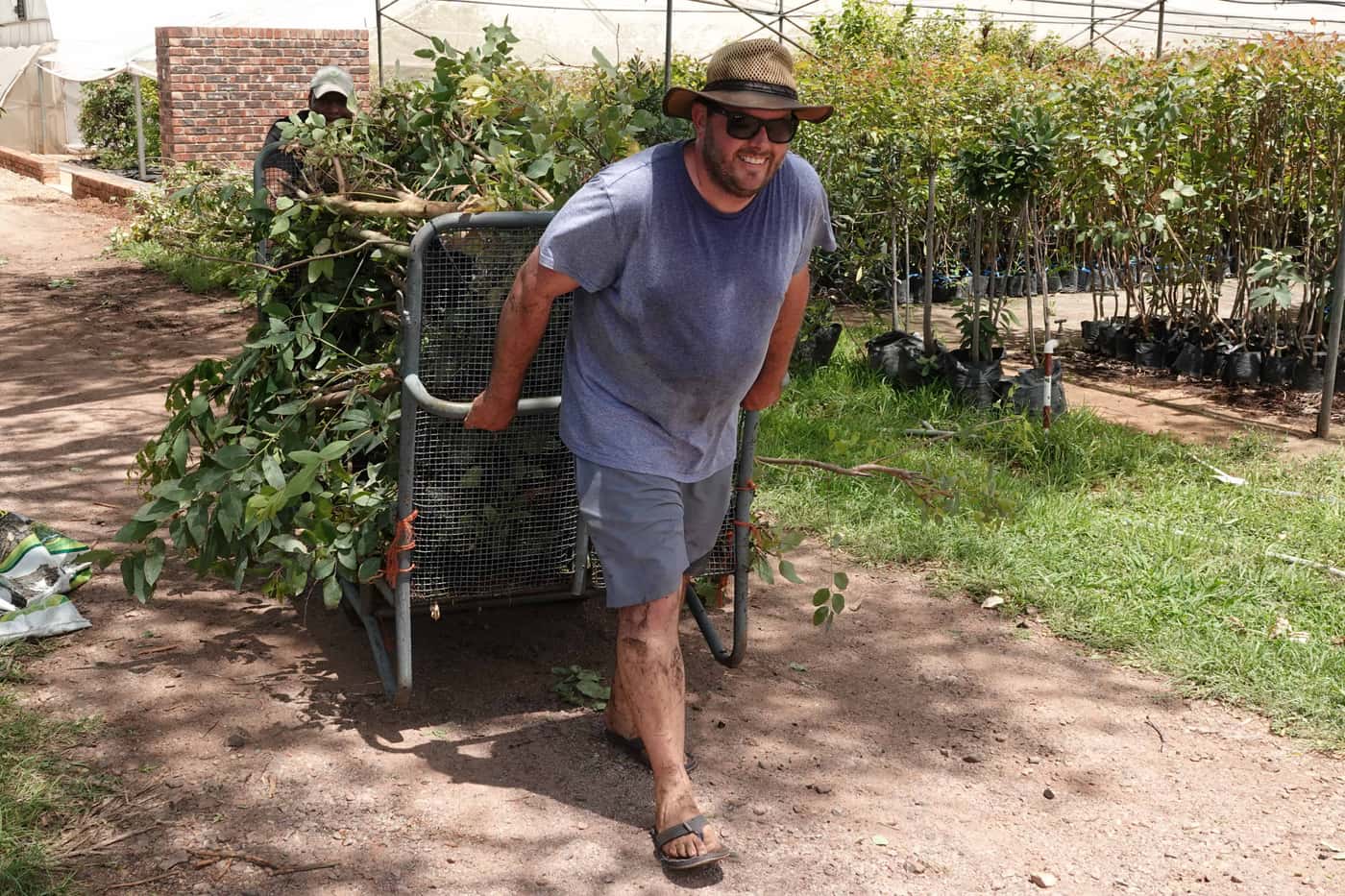 Last tree planting event for 2020