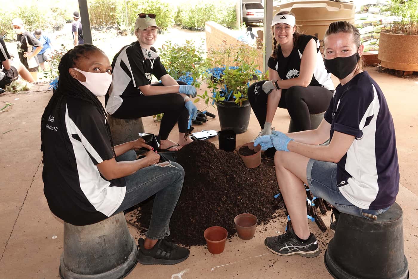 Last tree planting event for 2020