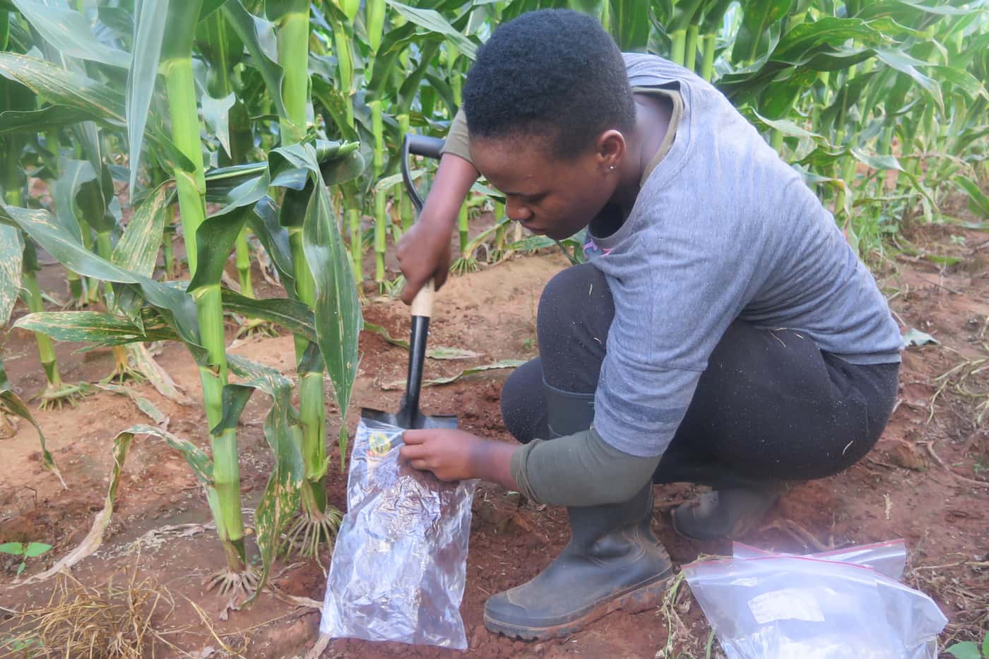 GRP team visits farms in the Eastern Cape and KZN