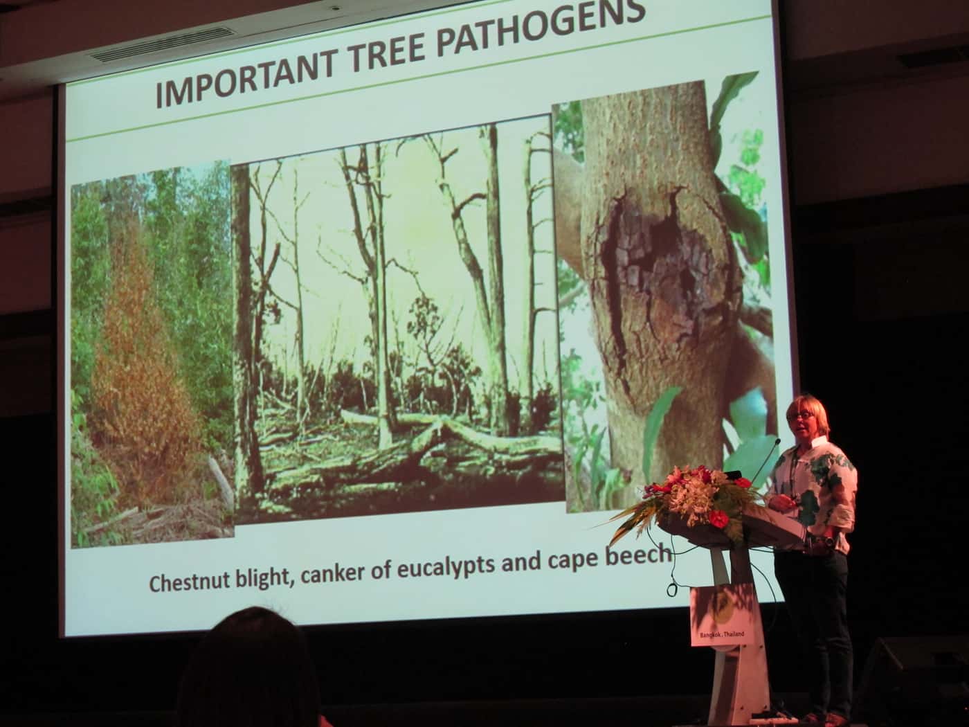 More news from IMC10