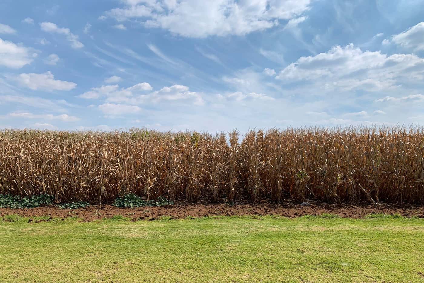Applied Mycology group visits Bayer Crop Science