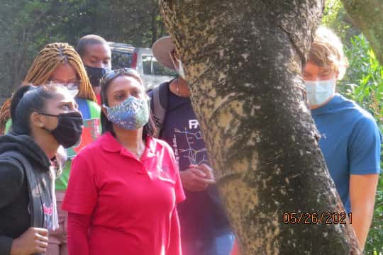 SANBI Sentinel Plant Project hosts a training workshop for DUT horticulture students