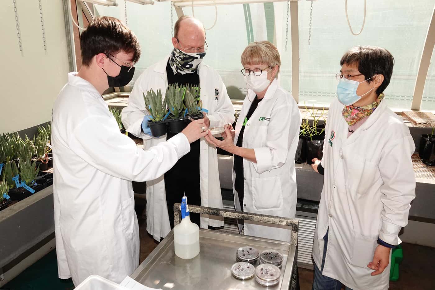 An inoculation “party” in FABI