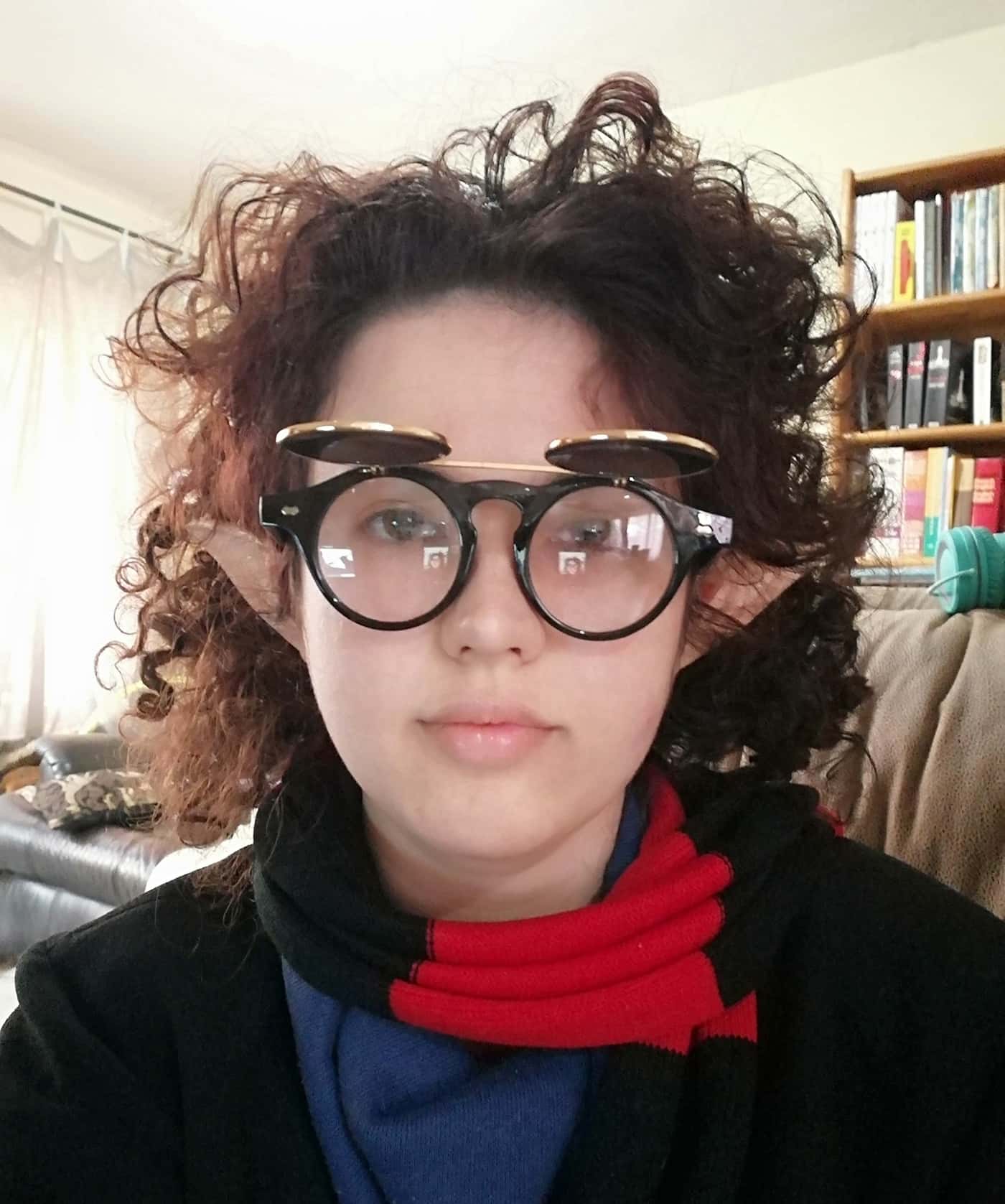The FABIlous FABwarts School of Sci-craft and Wizardry
