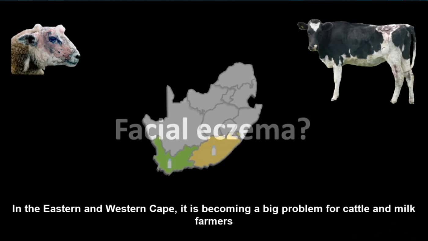 FABI PostDoc Student wins Inqaba's ‘Africa Genome Challenge 2021’ Award