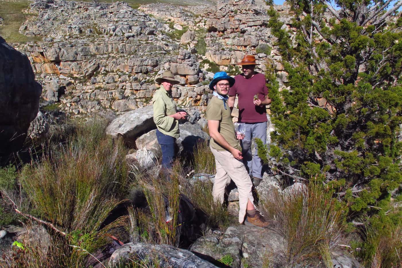 FABI team returns to the Cederberg for sampling