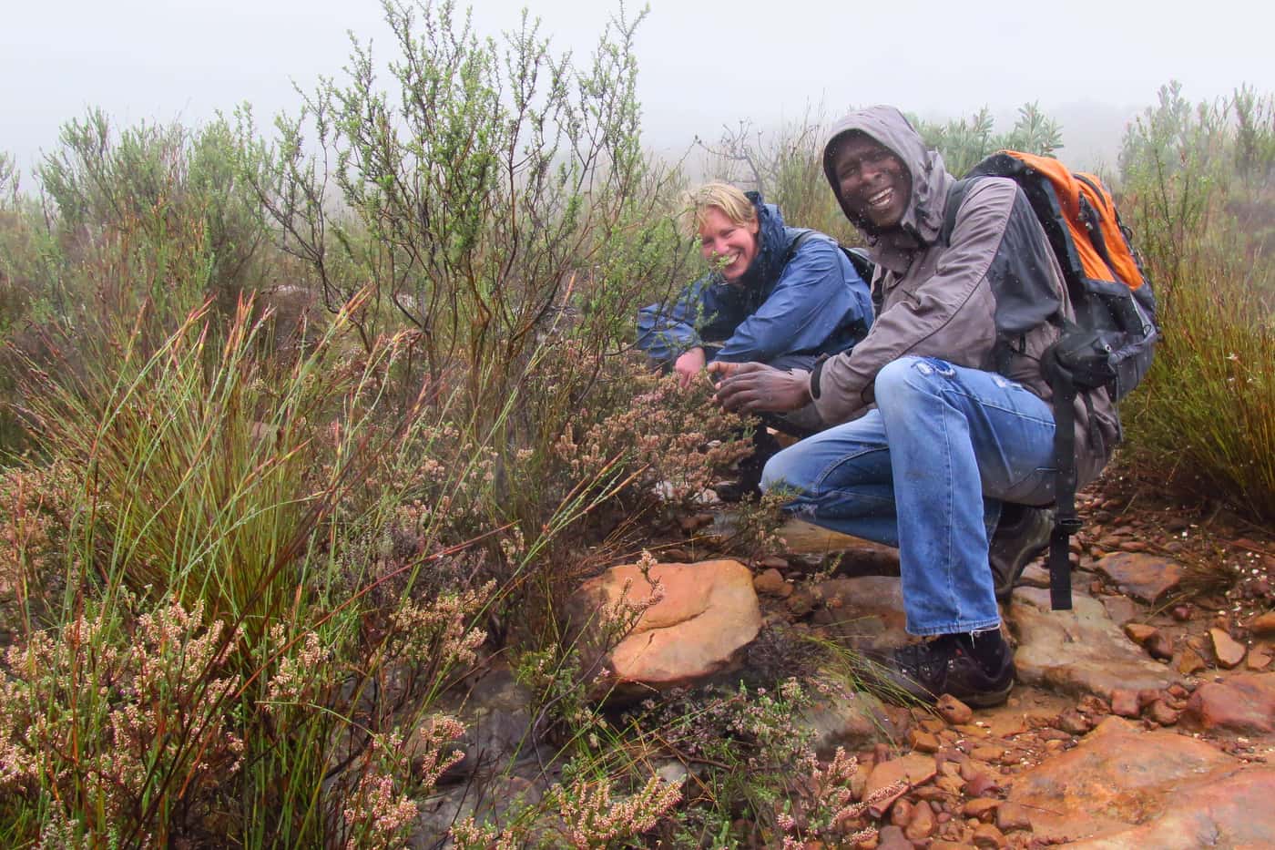 FABI team returns to the Cederberg for sampling