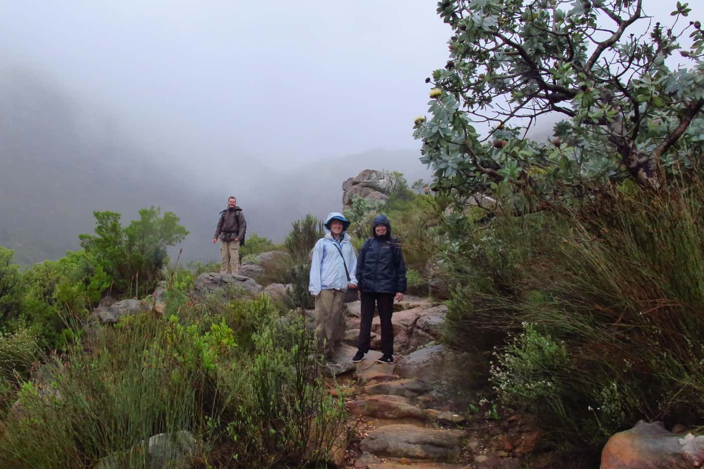 FABI team returns to the Cederberg for sampling