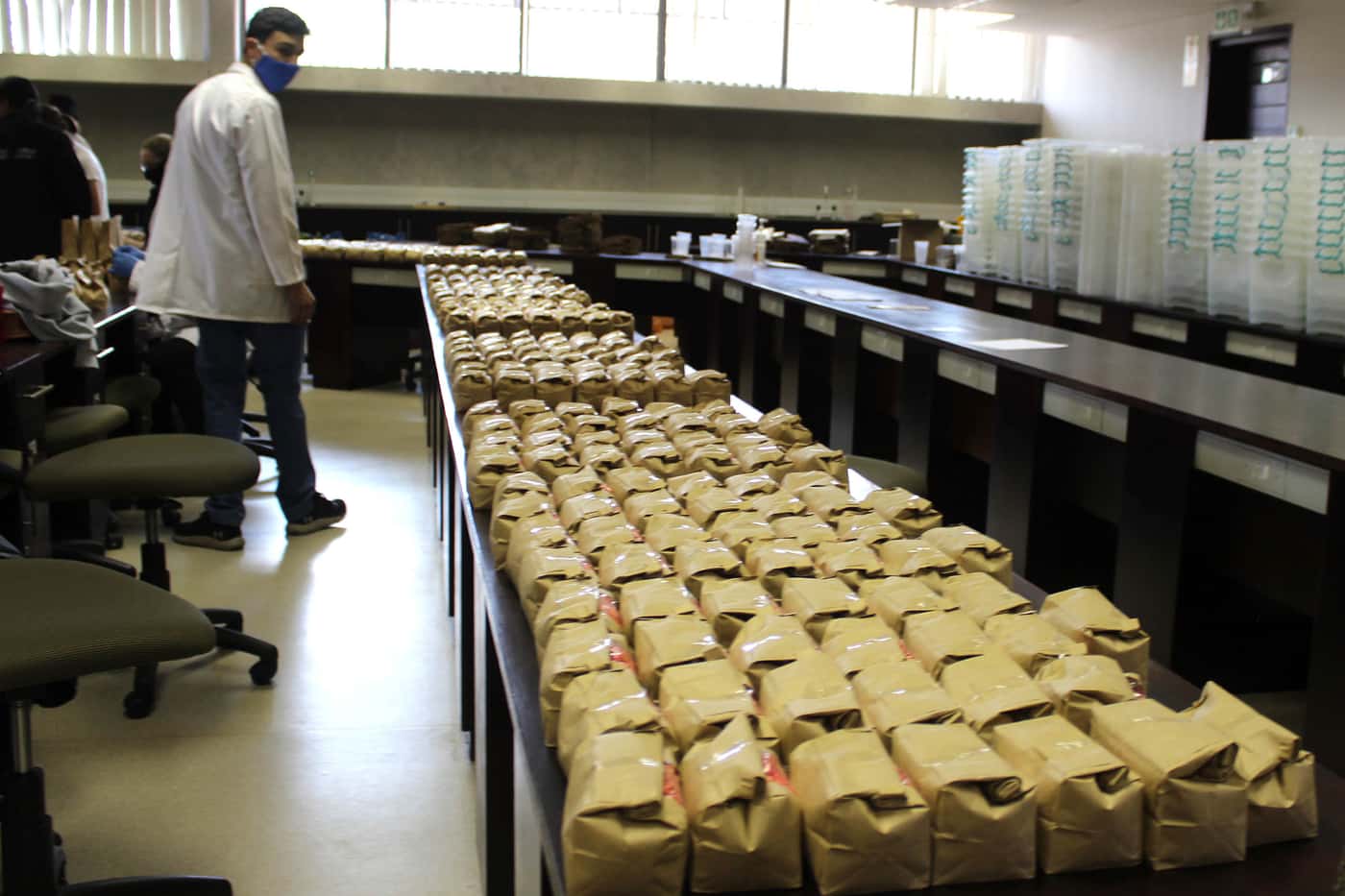 FABI participates in the third seed packing project for the National Maize Cultivar Evaluation Trial