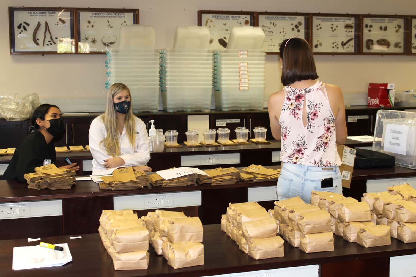 FABI participates in the third seed packing project for the National Maize Cultivar Evaluation Trial