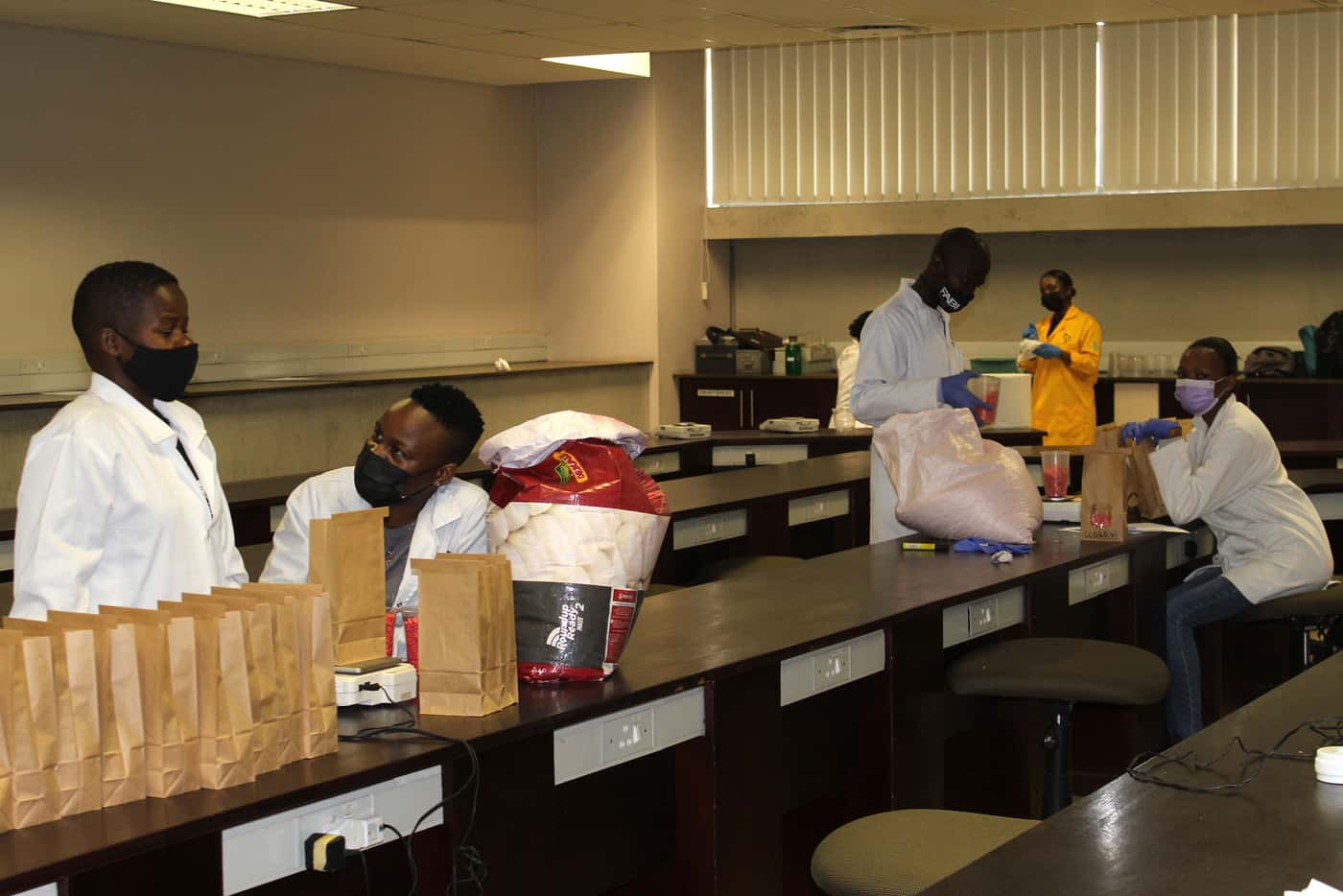 FABI participates in the third seed packing project for the National Maize Cultivar Evaluation Trial