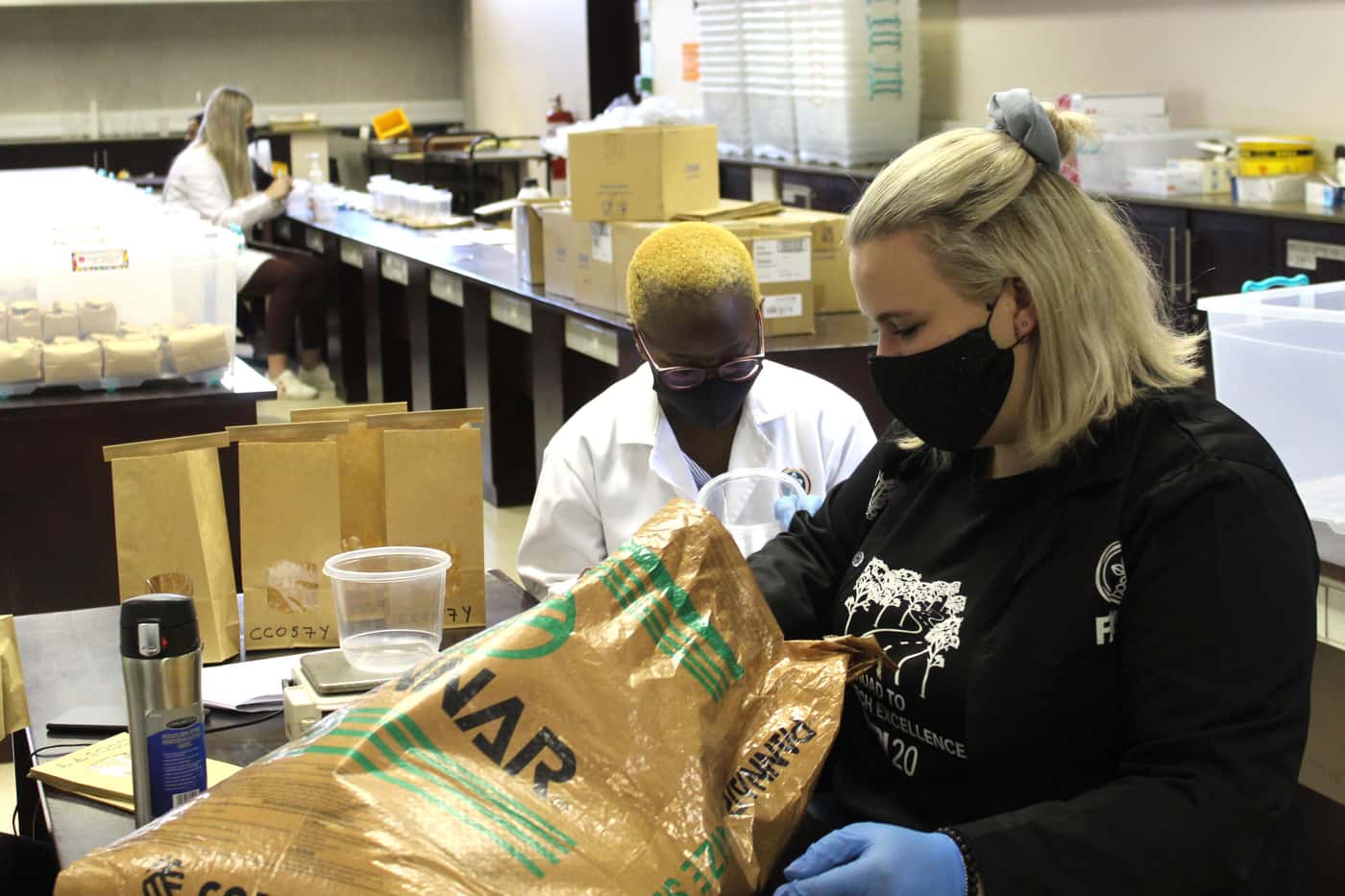 FABI participates in the third seed packing project for the National Maize Cultivar Evaluation Trials