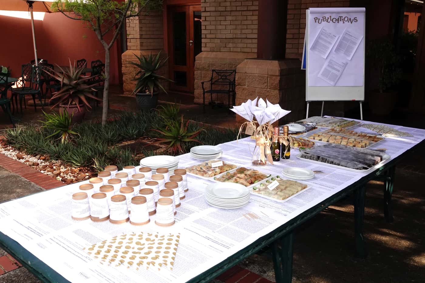 First publications celebrated at the TPCP publication party