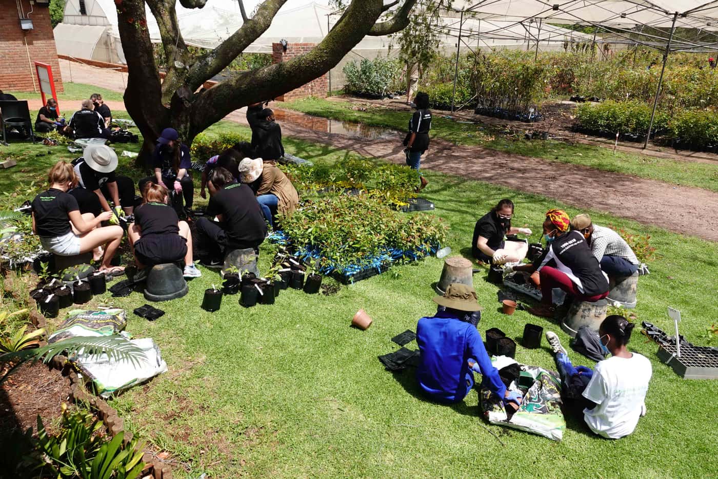 Tree planting brings the year to a close