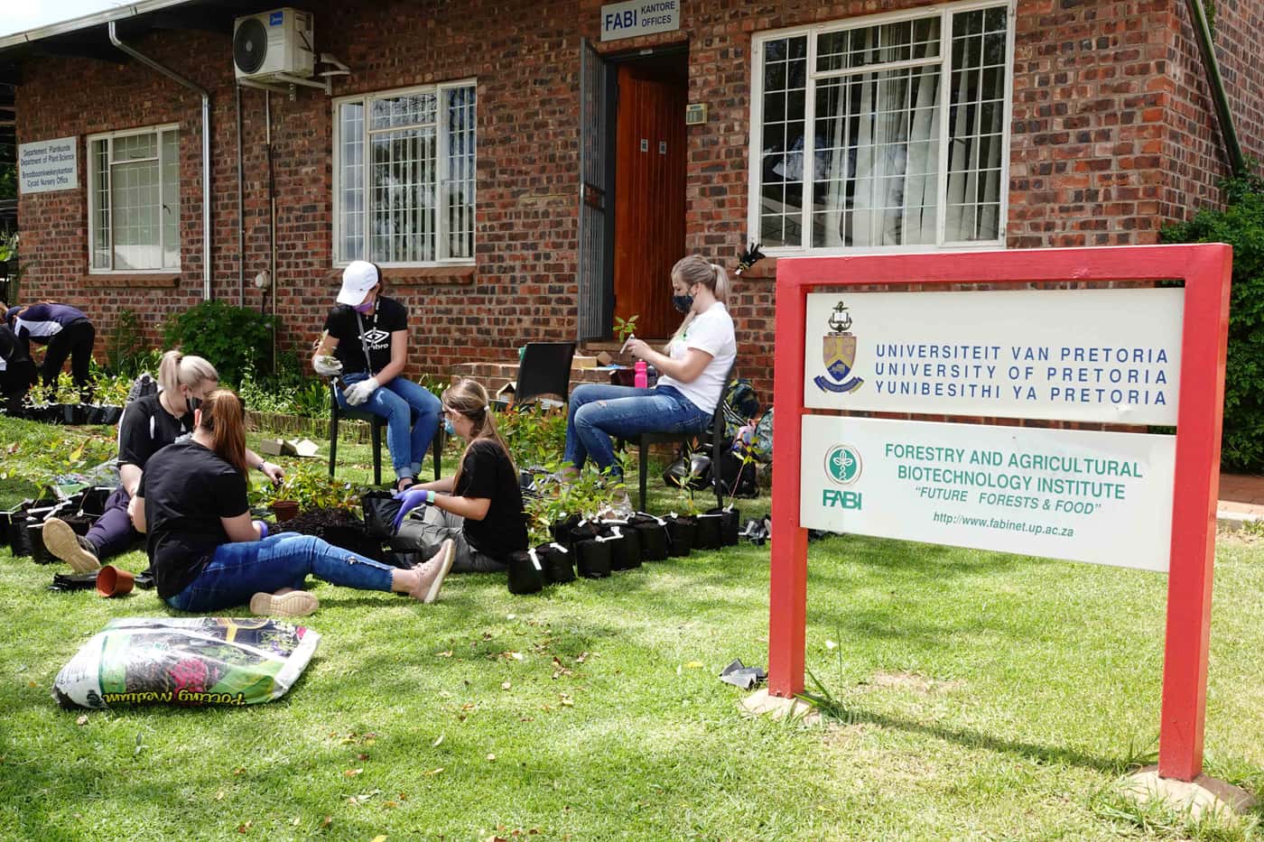 Tree planting brings the year to a close