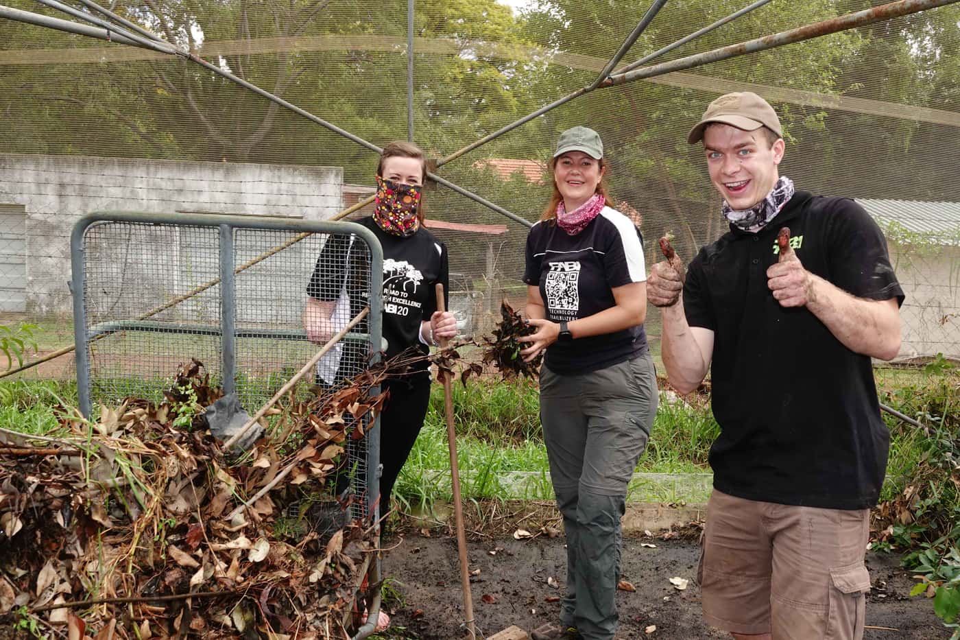 Tree planting brings the year to a close