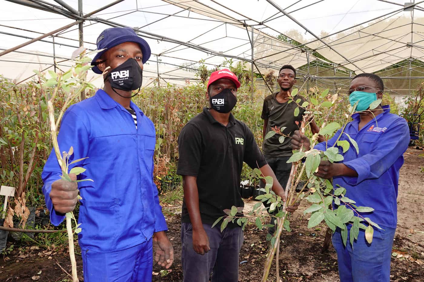 Tree planting brings the year to a close