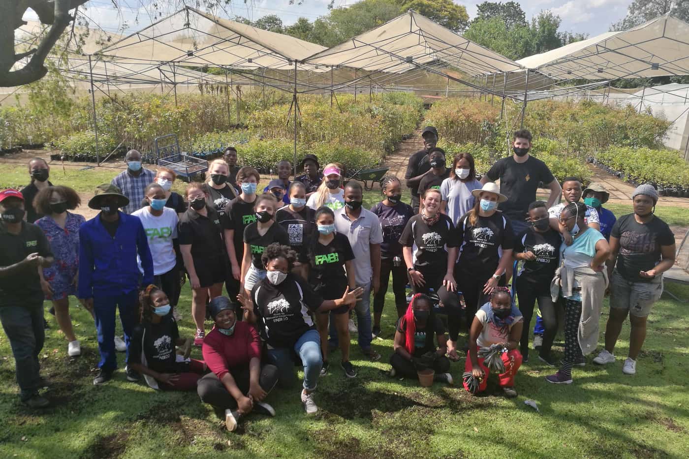 Tree planting brings the year to a close