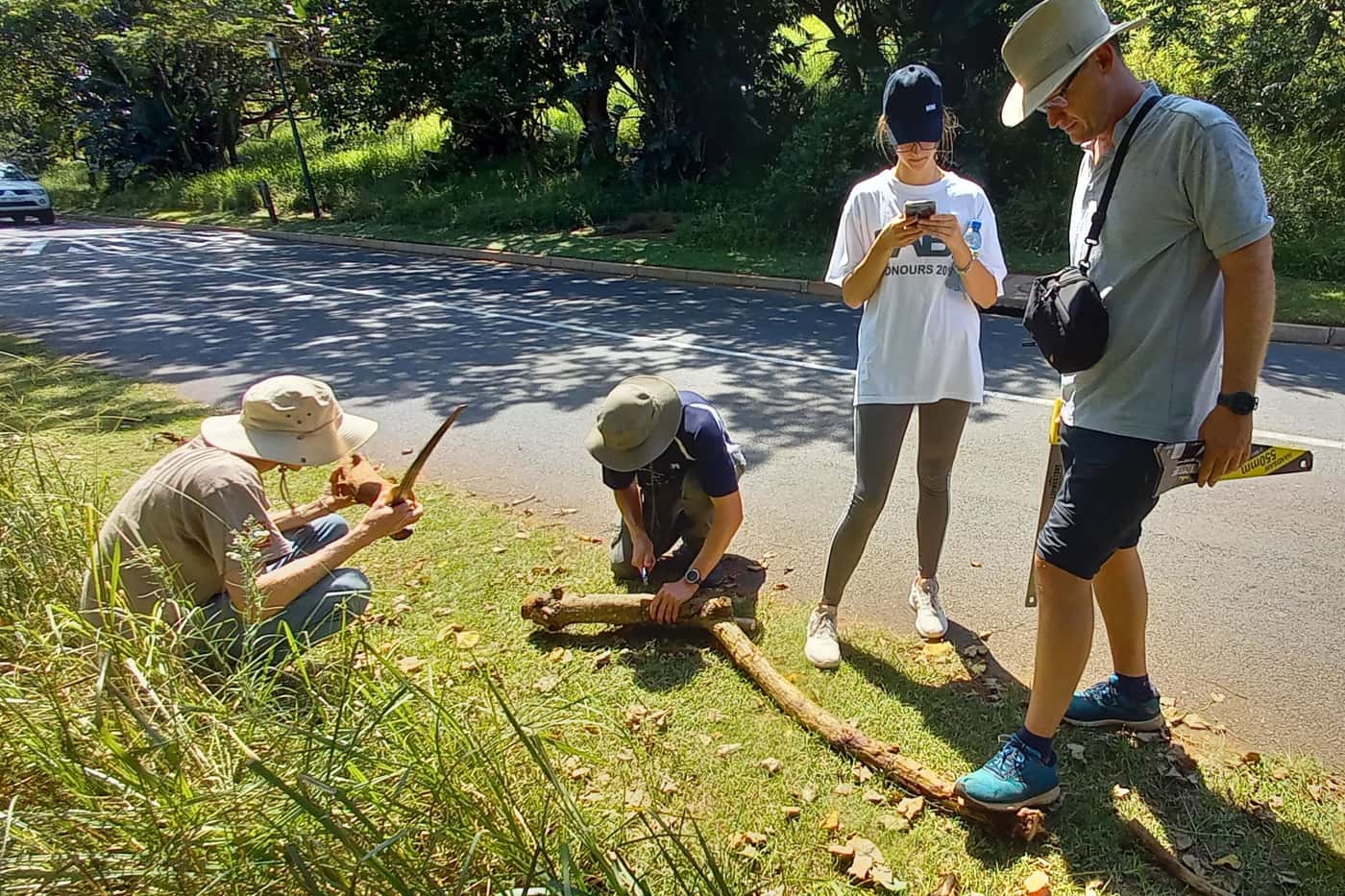 Collection of ambrosia beetle infested material in Durban