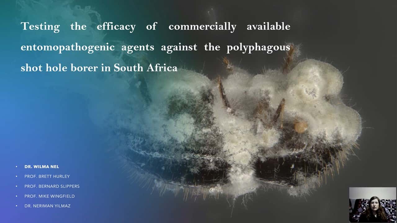 FABIans attend the International Congress on Invertebrate Pathology and Microbial Control