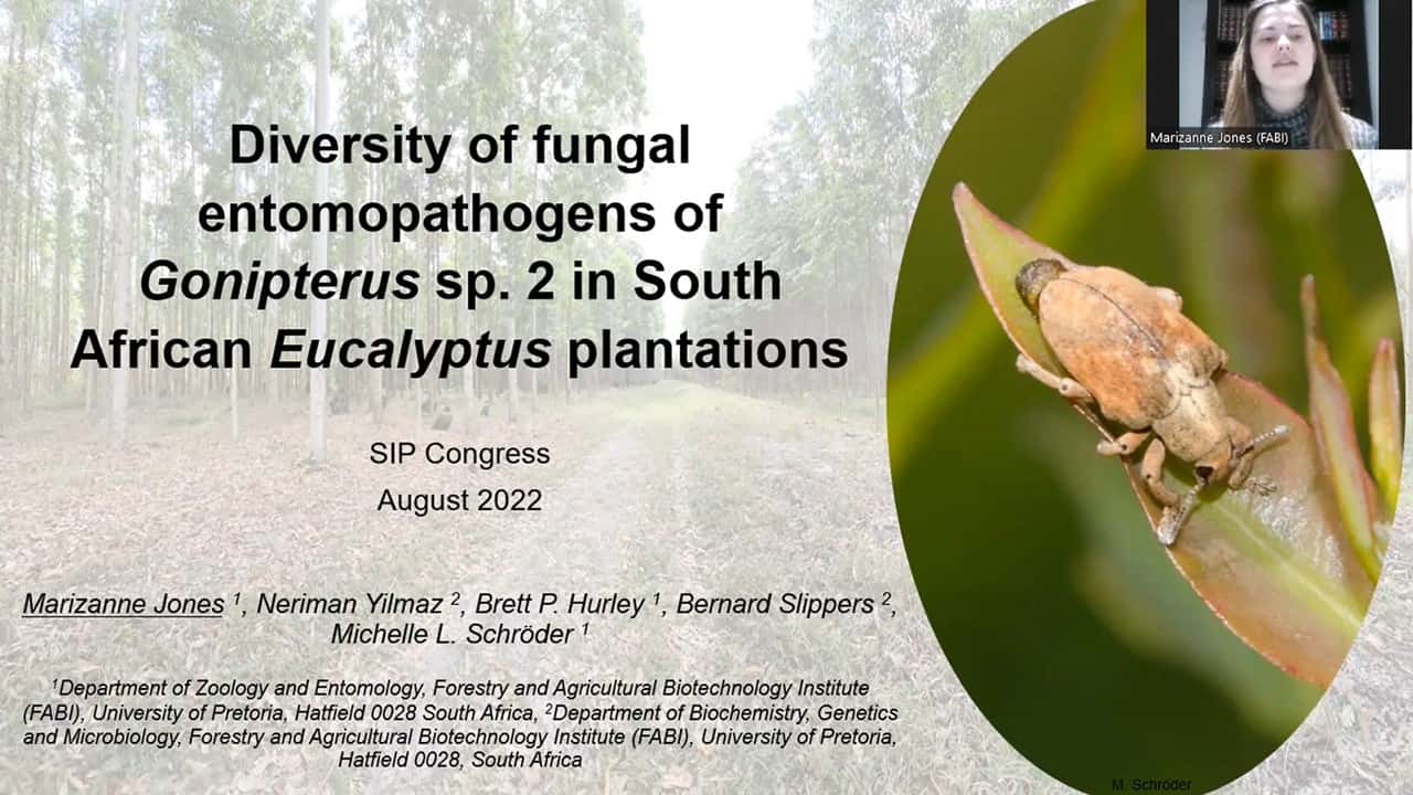 FABIans attend the International Congress on Invertebrate Pathology and Microbial Control