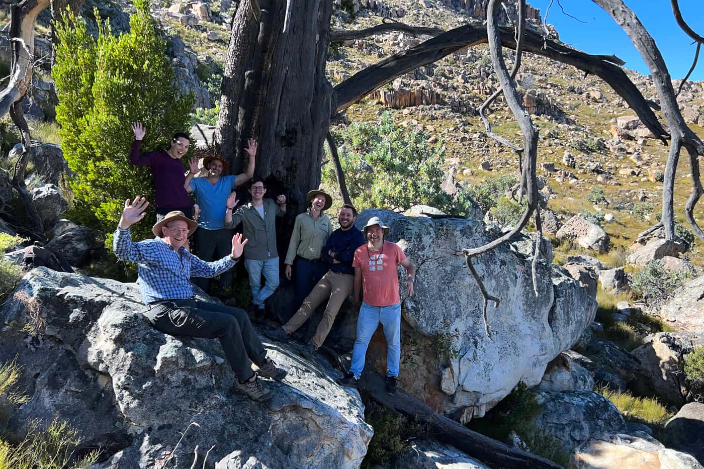 FABI tree-health sleuths explore the Cederberg