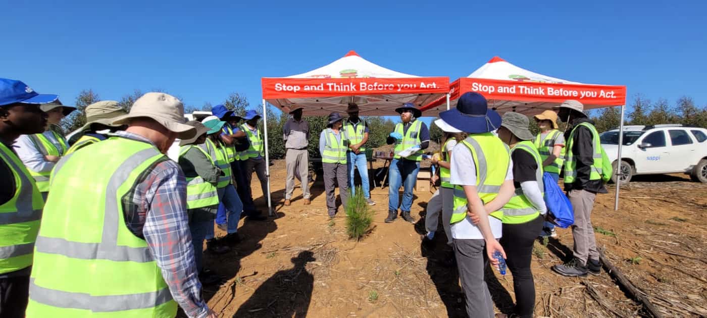 EPPI team performs in-field inoculation of the pitch canker pathogen