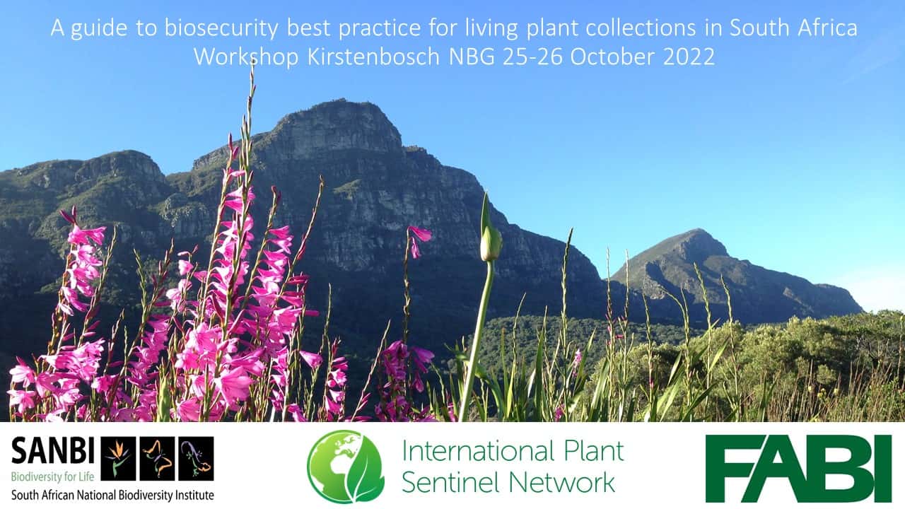 A FABI/SANBI plant health and biosecurity workshop