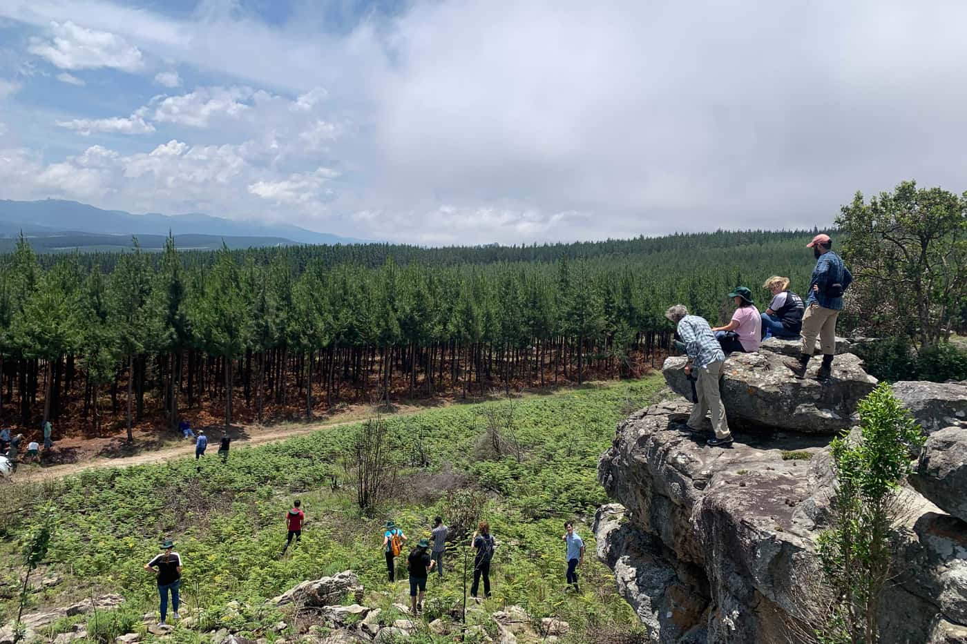 FABI hosts NSF-sponsored “research experience for students” symposium