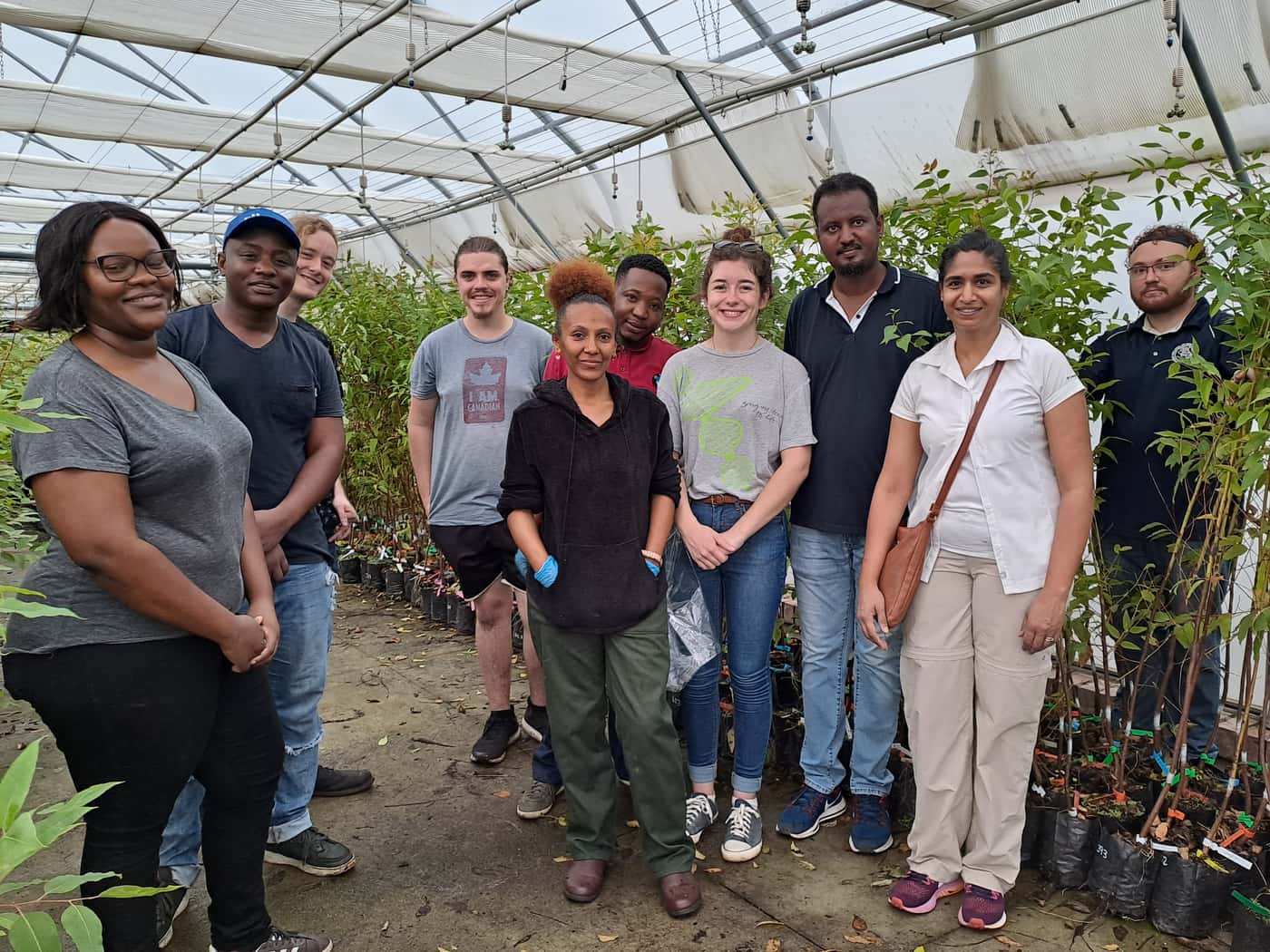 EPPI team undertakes a greenhouse inoculation trial