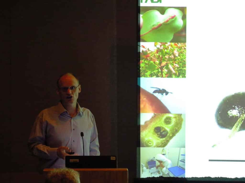 FABI at IUFRO 2014 - 10 October