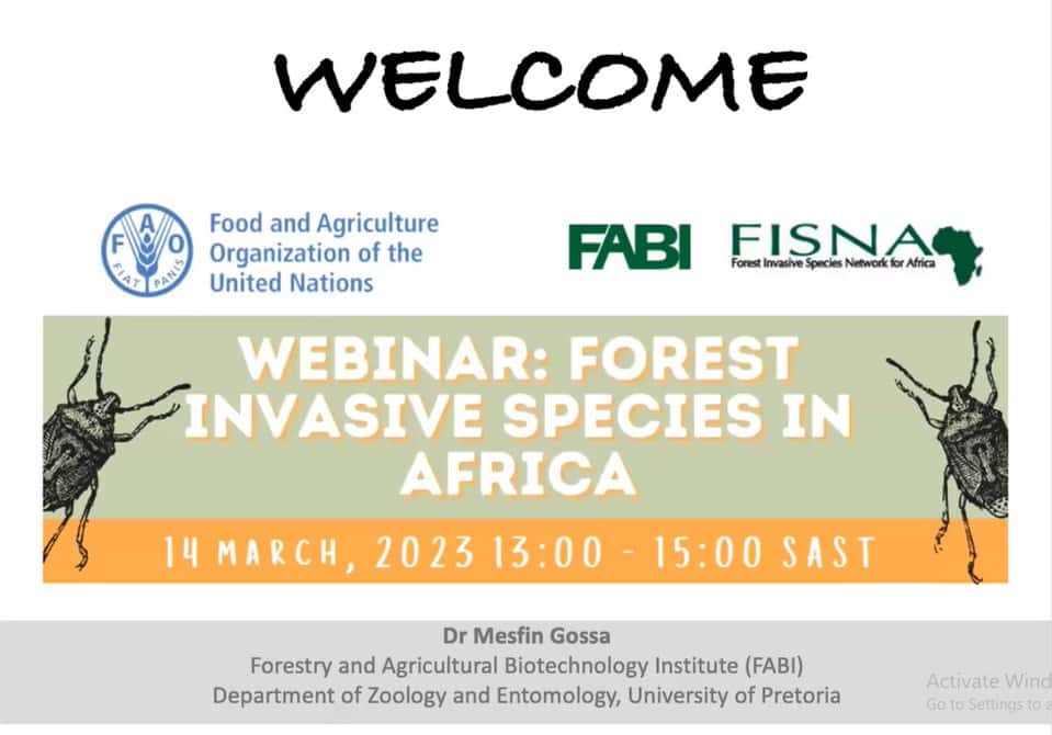 FABI co-hosts a webinar on forest invasive species in Africa
