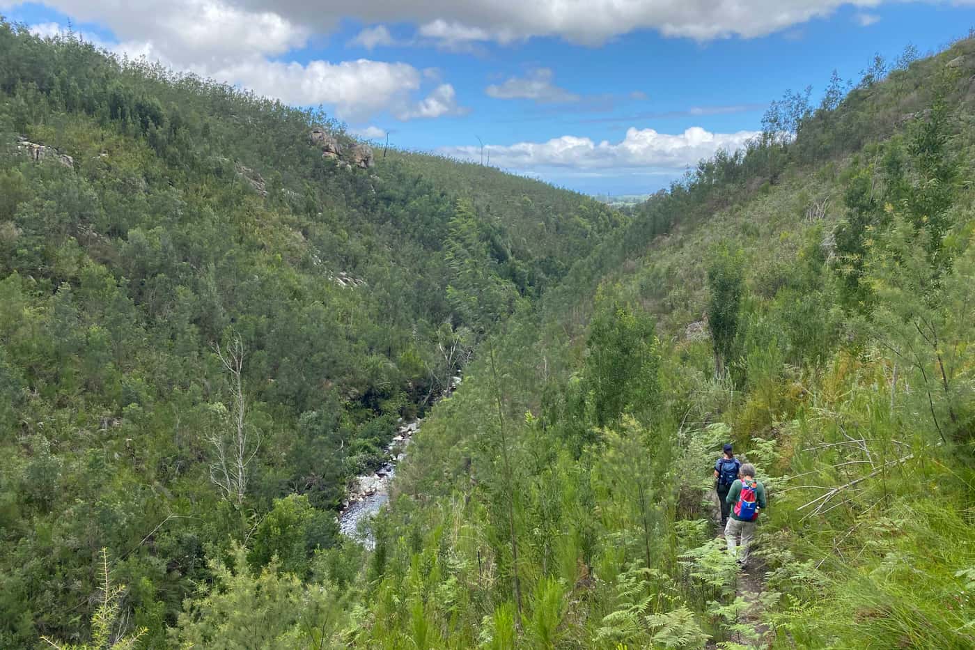 SASSY Project kicks off in the southern Cape