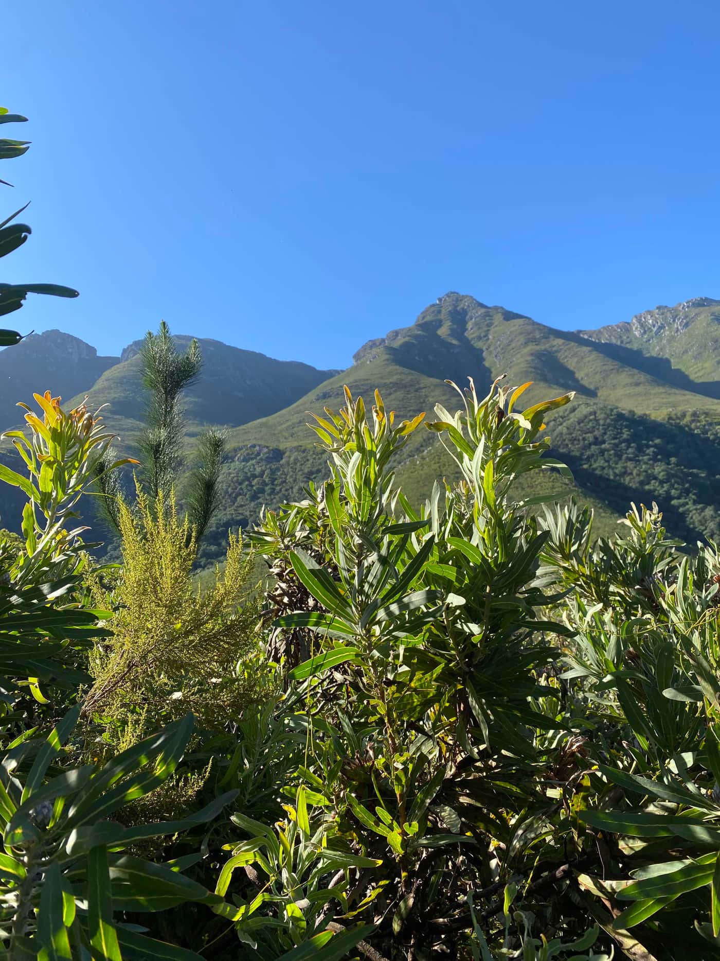 SASSY Project kicks off in the southern Cape