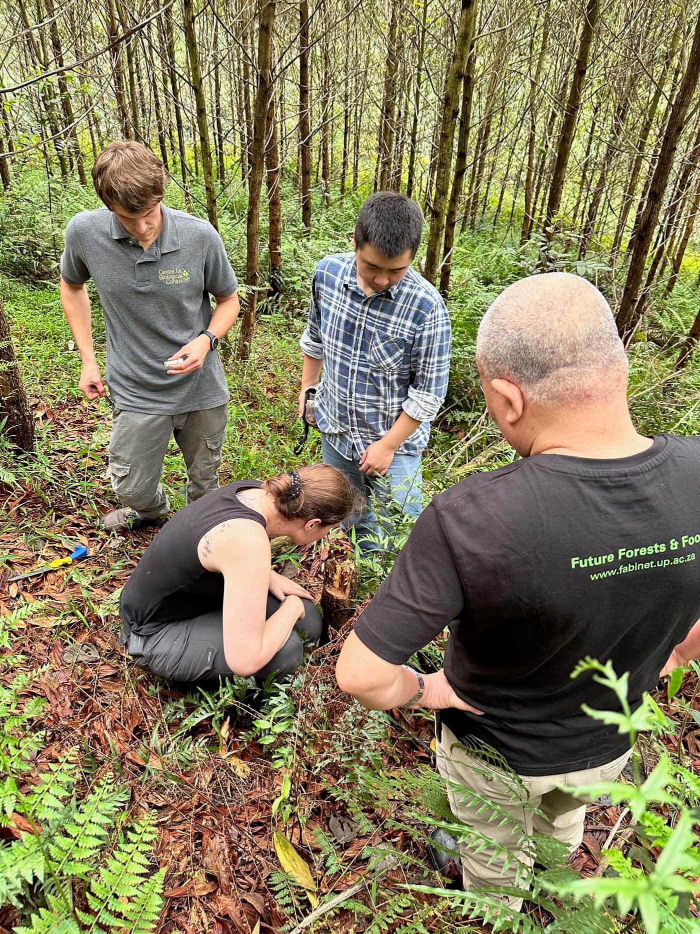 FABians visit Vietnam to search for a potential biocontrol agent for PSHB