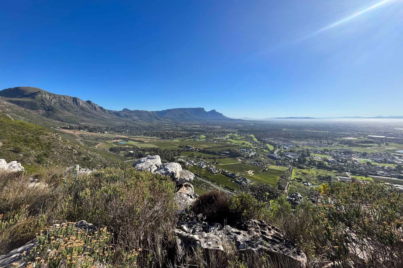 SASSY project completes its second collection trip in the Cape Town region
