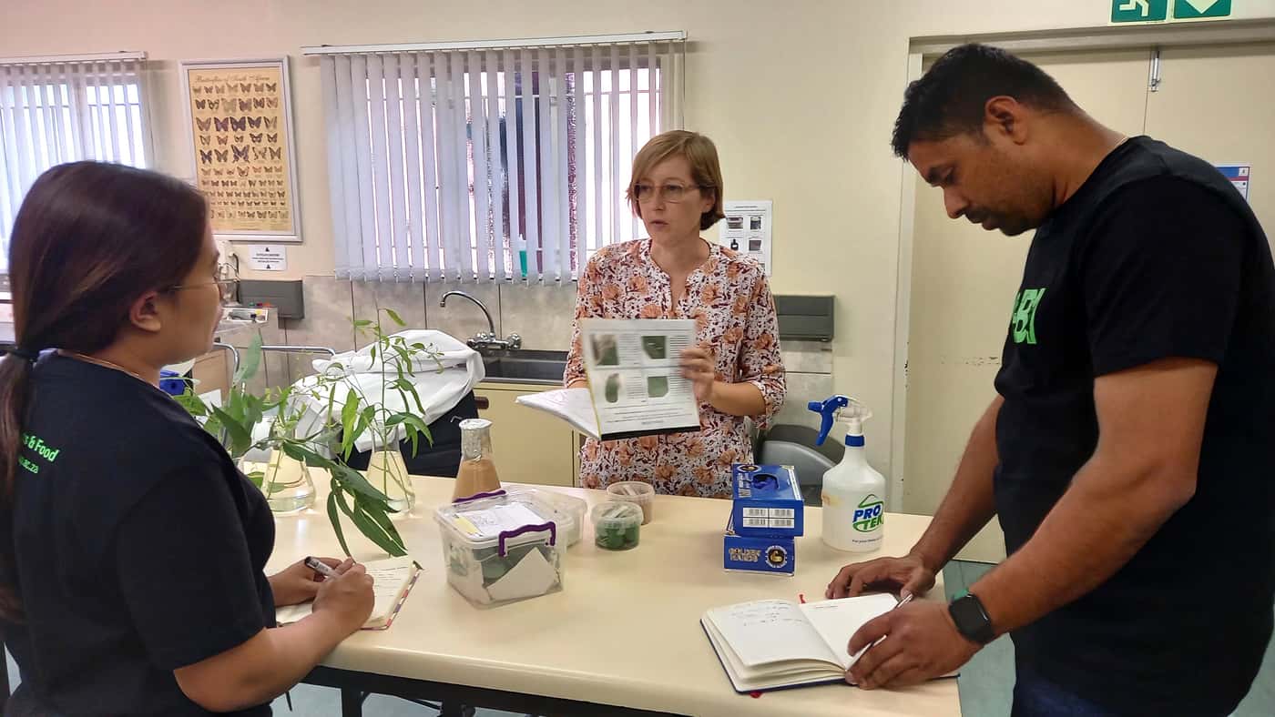 FABI welcomes RGE visitors as part of joint tree health programme